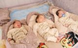 تولد نوزادان ۳ قلو در دولت‌آباد رشتخوار