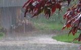 ثبت ۱۵.۸ میلی‌متر بارندگی در رشتخوار